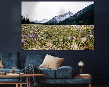 De Vilsalpsee in het Tannheimer Tal met spiegelend water en een alpenberglandschap op de achtergrond. van Miriam Schwarzfischer Fotografie