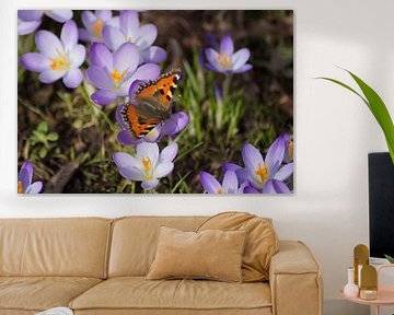 Spring is here by Karsten Mücke