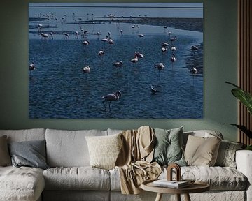 FLAMINGOS 3 by Miroslav Ptacek