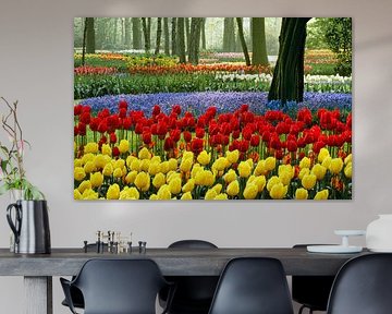 Nederland, Lisse. Bloeiende tulpen in 'De Keukenhof'.