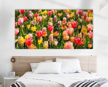 Nederland, Lisse. Bloeiende tulpen in 'De Keukenhof'.