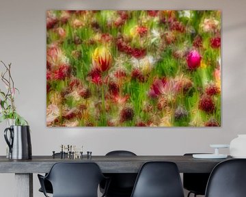 (Bijna) uitgebloeide tulpen. Droom sfeer.