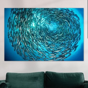 In Kreisen von Norbert Probst