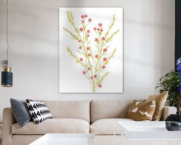 Blüten im Minimalismus als Triptychon 2 v. 3 von AidasignArt