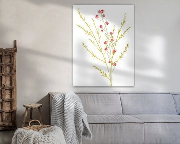 Blüten im Minimalismus als Triptychon 1 v. 3 von AidasignArt
