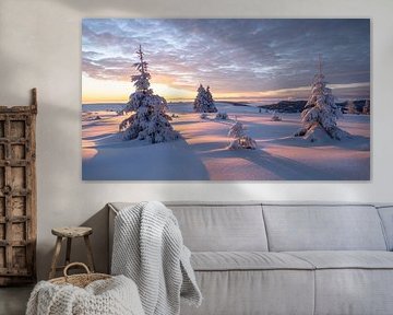 Goldener Sonnenaufgang auf dem Feldberg von Anselm Ziegler Photography