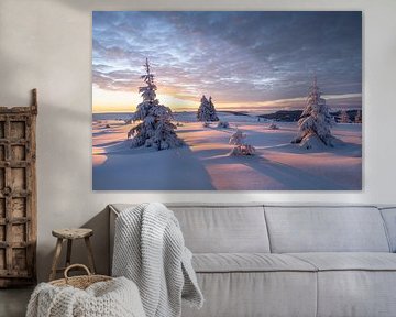 Lever de soleil doré sur le Feldberg sur Anselm Ziegler Photography