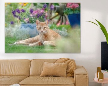 Schattige gemberkleurige kat in een bloeiende tuin van Katho Menden