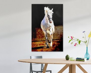 Art4Sale2 no: 0003 Berlin