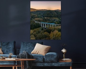 Zug über die Novina-Brücke in Tschechien von Ewold Kooistra