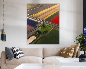 Colourful tulip fields with windmill seen from the air by Ewold Kooistra