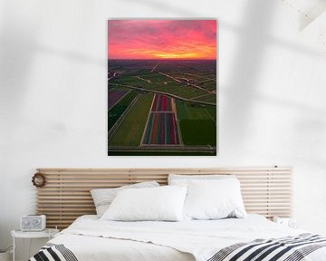 Tulip fields at sunset in the Netherlands by Ewold Kooistra