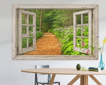 Vue sur un sentier forestier verdoyant sur Art & Soul Creations