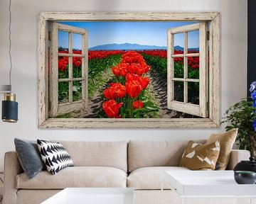 Open raam met rode tulpenrijen