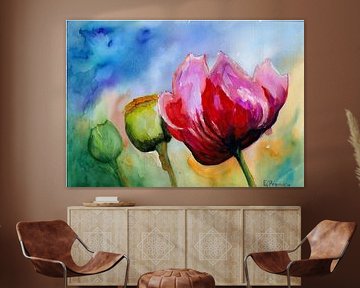 Flora and fauna, poppies, corn poppies