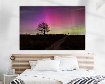 Nordlicht in den Gasterse Dünen von Lesley Rosenberger