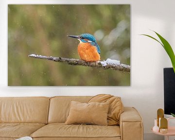 Eisvogel auf einem verschneiten Ast von Lies Bakker