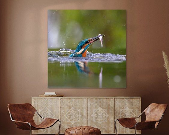 Aperçu de la chambre