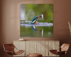 Aperçu de la chambre