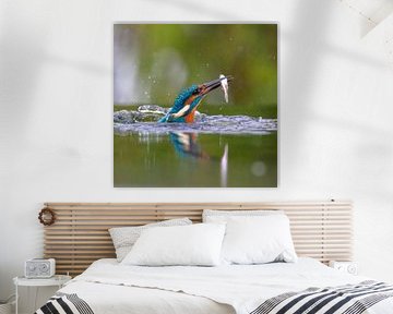 Eisvogel aus dem Wasser von Lies Bakker