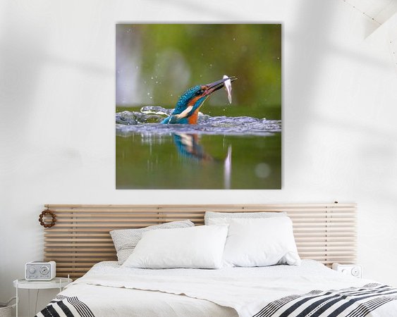 Aperçu de la chambre