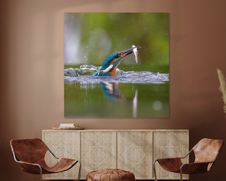 Aperçu de la chambre