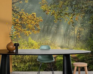 Early morning sun (reduced in price!) by Pascal Raymond Dorland