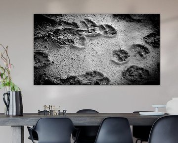 Hundepfoten im Schlamm von KDX