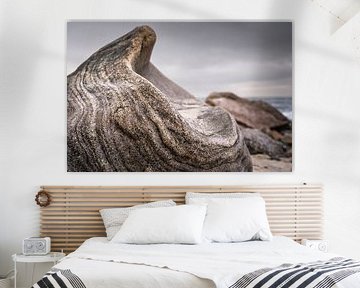 The Silent Scream by Axel Ellerhorst