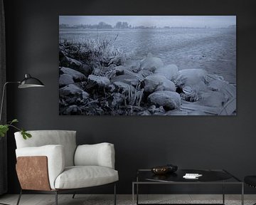 Frozen von Ragonda Mol