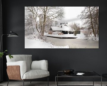 Weerribben in de sneeuw van Ragonda Mol