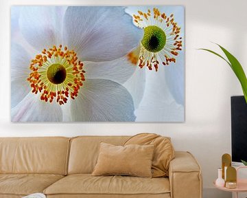 BLUMENTRÄUME 9 von Miroslav Ptacek