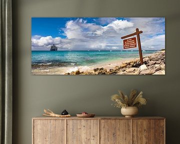 Catalina Island and My Ship by AidasignArt
