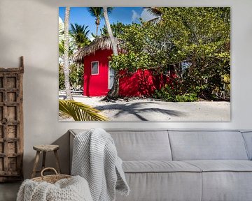 Catalina Island and red house by AidasignArt