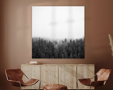 Black and white cloud forest – tranquil nature Photo art as wall art