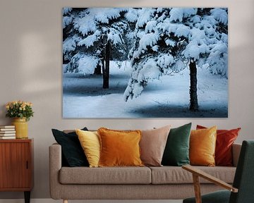 Blanc comme neige sur Annemarie Veldman