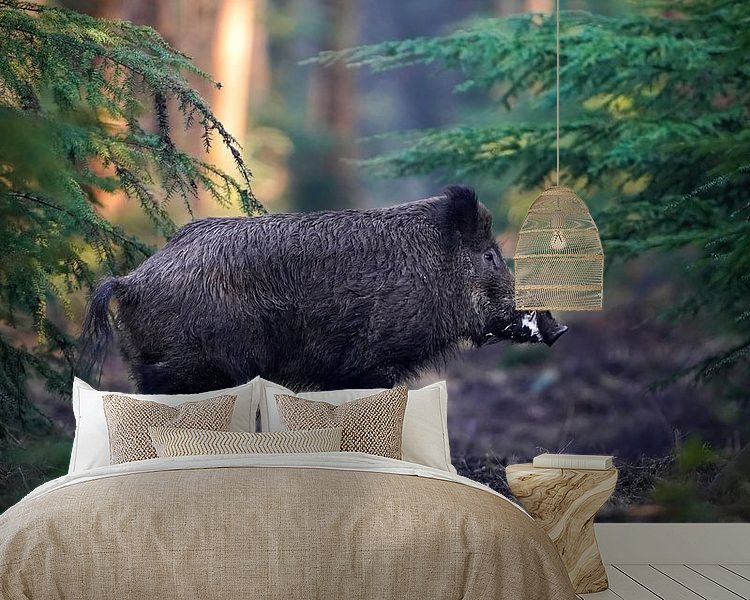 Aperçu de la chambre