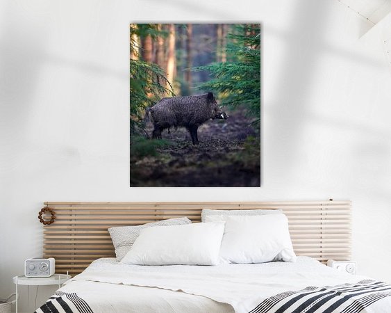 Aperçu de la chambre