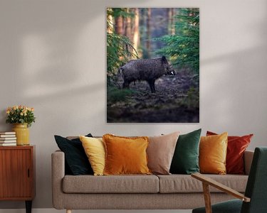 Aperçu de la chambre