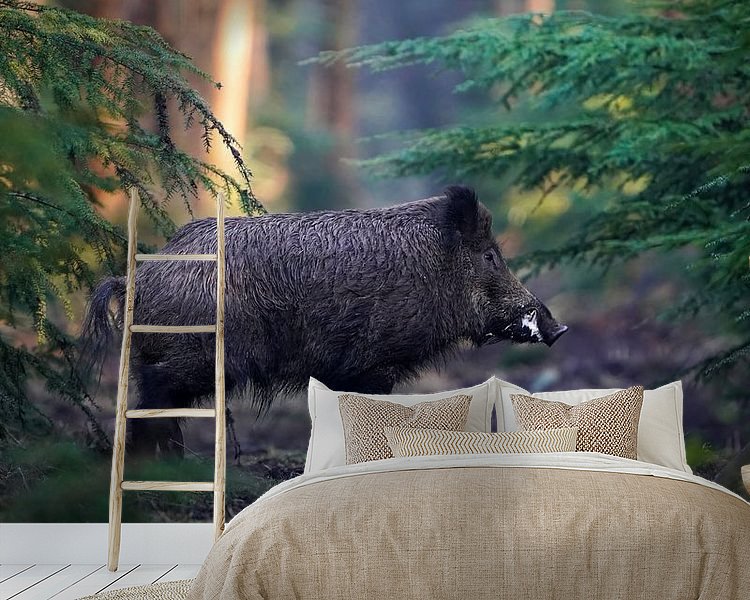 Aperçu de la chambre