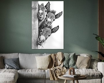 Trois ânes jetant un œil par la porte de la grange, dessin vintage