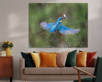 IJsvogel in vlucht met vis van Lies Bakker