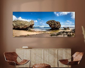 Barbados by AidasignArt