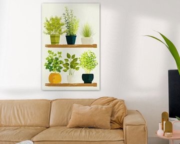 Kräuter auf einem Regal von Vlindertuin-Art