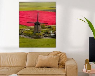 Windmill among red tulip fields by Ewold Kooistra