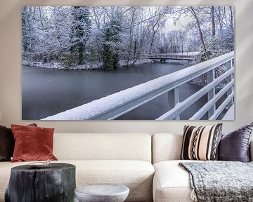 snow in the rosarium park