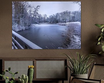 ice cream in the park in Heerenveen