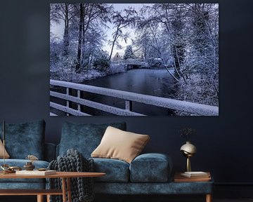 winter glimpse in the park