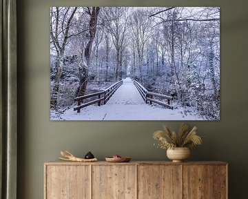 snow in the rosarium park