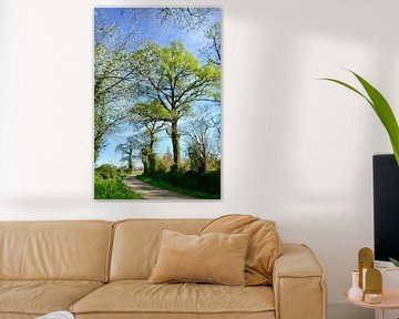 Landschap met Eik in het voorjaar van Corinne Welp